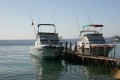 7fa2a20075edcb9543cb9ffe22f32725.jpg