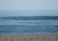 DSC_0038-1.jpg