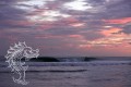 c191113c807ccf1596d2adac1fe65bb1.jpg