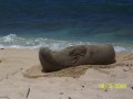 db_100_4412-1.jpg