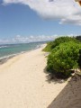 db_Photo725.jpg